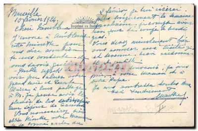 Kocię w stroju kobiety robiąc porządek — Wydrukowane w Włoszech — Rewers