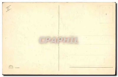 Gato de pelagem longa — retrato — Impressão France 52088 — Verso