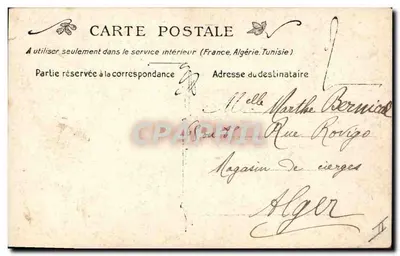 Chat à poils longs — portret — Karta pocztowa — Rewers
