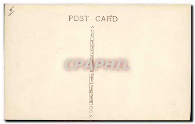 Kot tigrysi — pozycja w studio — Rotary Photo, Londyn, nr A.752.5 — Rewers