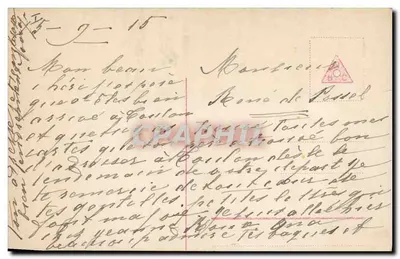 Três filhotes — diante de um cesto de rosas — editor anônimo — Verso