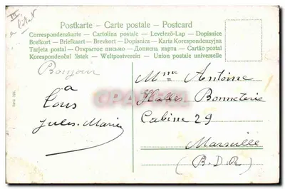 Récolte de raisin — enfants dans un vignoble — éditeur anonyme, série 304 — Verso
