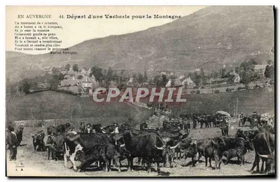 Départ d'une Vacherie pour la Montagne — En Auvergne — Marius Versaguy, n°44