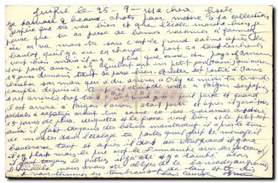 Dois filhotes — um em uma cesta com laço vermelho — editor não visível — Verso