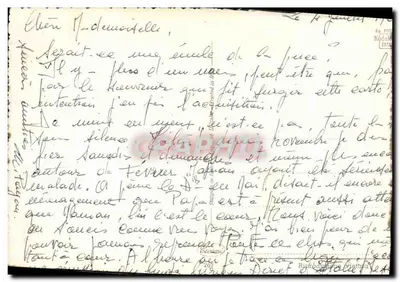 Bilhete postal moderno Chat chats Chaton — Verso
