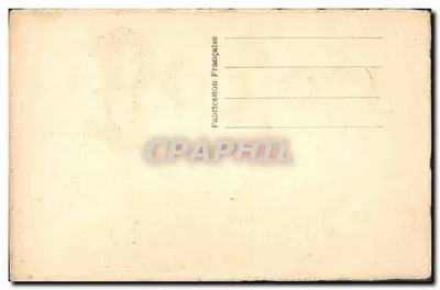Cartolina decorativa — Buongiorno in lettere di gatti — senza editore né numero visibile — Verso