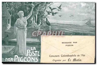 La Poste par Pigeons — Concours Colombophile en Mer, juillet 1905 — Éditeur : Ervann Graveluel, Paris