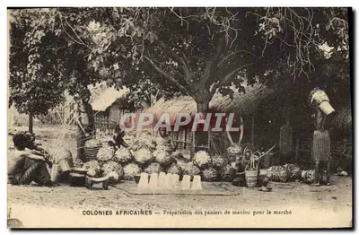 Colônias Africanas — Preparação dos cestos de mandioca para o mercado — Fototipia de Bienne, Reims
