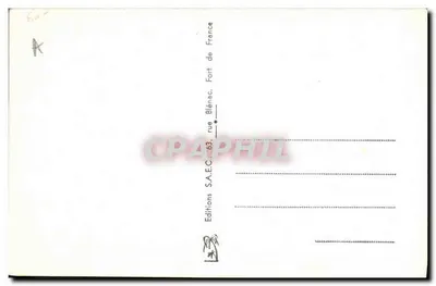 Lavadeira — ilustração estilizada — Olpurb — Verso
