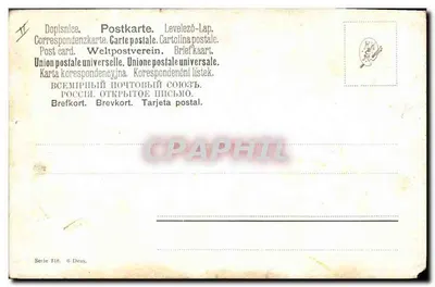 Kurczaki i kogut na pastwisku — A. Müller, München — seria 216 — Rewers