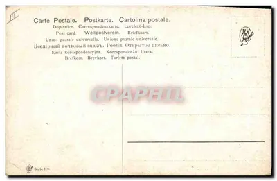 Pintas e galinha em um campo — pintura — editor G. Feurig, série 319 — Verso