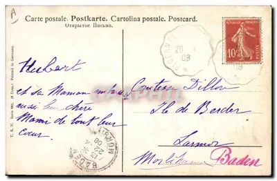 Galinha e pintinho — sob as saias de salgueiros — T.S.N. Série 902, editor Dusseldorf — Verso