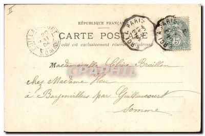 Niños en un coliflor — tarjeta postal humorística — editor desconocido, número de serie no visible — Reverso