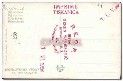 Combattimento di galli — P. Jovanović — Tipografia Tiskanica — Verso