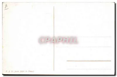 Galos e pintos em um recinto — série 1991 (6 Desenhos) — T.S.N. — Verso