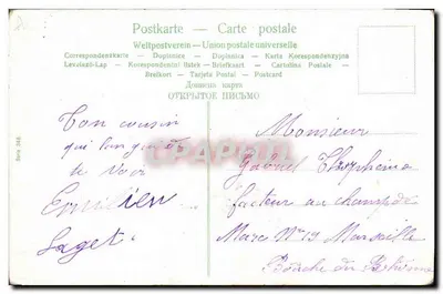 Família em um campo de couve — série 34B — Verso