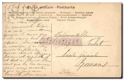 Stara pocztówka Stara pocztówka: Wyscig psów, pies — Rewers