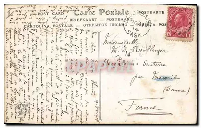 Stara pocztówka Pies, Piesi, Wypas Piesi na Salonie z 1911 Borchard Hallali — Rewers