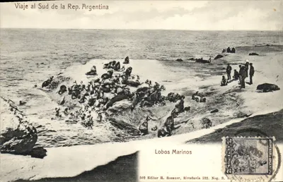 Wale — Reise in den Süden der Republik Argentinien — Verlag R. Rosauer, Rivadavia 522