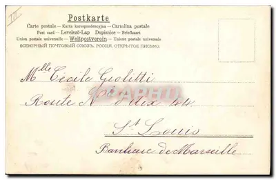 Cani nell'acqua — A&B M. N°54 — A&B M. N°54 — Verso