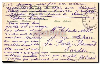 Cão de caça — retrato — editor não visível — Verso