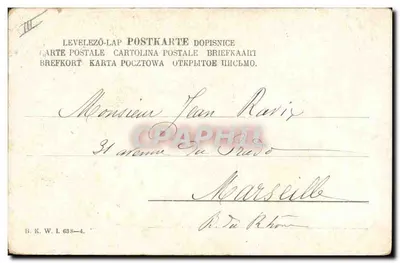 Cartolina d'epoca Cane Cani — Verso