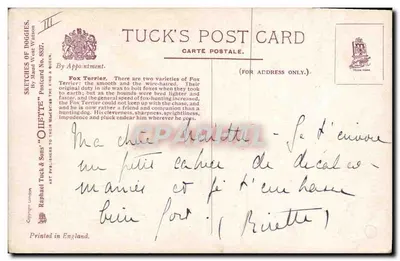 Fox Terrier — por Maud West Watson — Tuck's Post Card, série 'Sketches of Doggies' n°887 — Verso