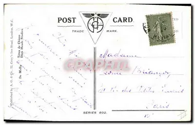 Gato branco e Fox-Terrier belga — série 802 — A.G. & Co., London — Verso