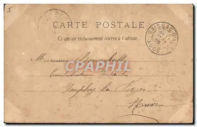 Bilhete postal antigo Cachorro Cães Filhote Os favoritos do cavaleiro — Verso