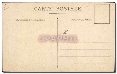 Clumber Spaniel — cão de caça a galope — Chocolate-Louit — Verso