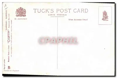 Gatto nero e cucciolo — scena umoristica — Tuck & Sons, n° 3133 — Verso