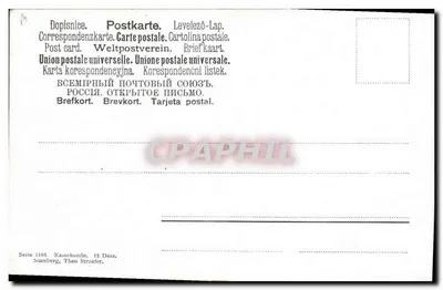 Cane di razza Siberiano — serie 1193 — editore Theo Stroefel, Norimberga — Verso