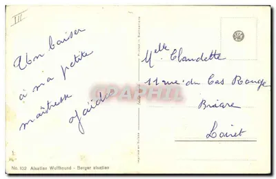 Cão pastor alemão — retrato — J. Hirdt, No. 102 — Verso