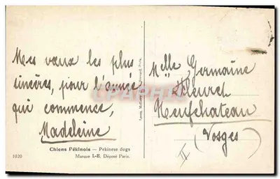 Dwa psy pekinozkie — Ophelia Billings — 1916 — Rewers