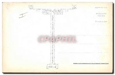 Czarny pies z czerwoną krawatem — na poduszkach i różach — Imprimerie Italienne Milano, n° 450-6 — Rewers