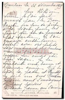 Dois filhotes brincando com um sapato — Raphael Tuck & Sons — N° 9785 — Verso
