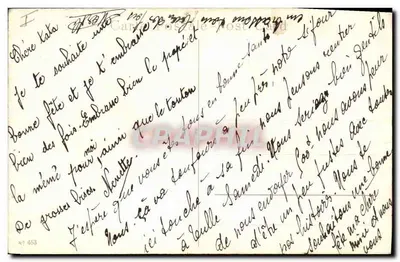 Pieski i kotki w koszyku z kwiatami — Szczęśliwego święta — Karta pocztowa n° 453 — Rewers