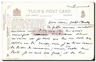 Yorkshire Terrier (Toy) — portrait d'art — éditeur Tuck & Sons, n° 9977 — Verso