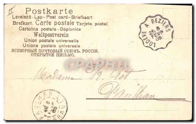 Portret psa — rysunek ołówkiem — wydawca nieznany — Rewers