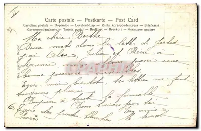 Chien de chasse — portrait en noir et blanc — éditeur 'GRAPHIC' (verso) — Verso