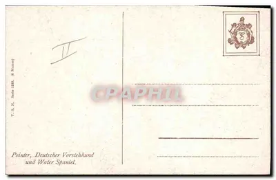 Três cães de caça — Pointer, Deutscher Vorstehhund e Water Spaniel — T.S.N. Série 1888 — Verso