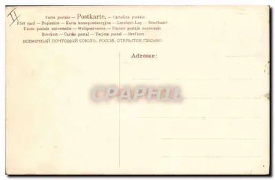 Três cães — ilustração colorida — A.K.M. N° 392 — Verso
