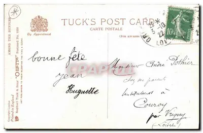 Cachorro e coelhos — cena animal — Tuck's Post Card n° 9539 — Verso