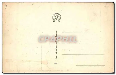 Cane su scala — illustrazione umoristica — P.A.M. (editore ?) n°234 — Verso