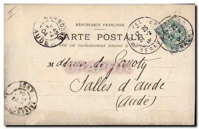 Bambini in un campo di cavoli — Cartolina postale umoristica — Editore non identificato — Verso