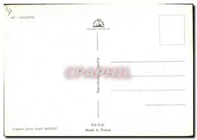Mulher com cabelos longos — estilo 1970 — Edit. U.G. n° 489 — Verso