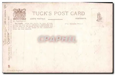Dança oriental — Argélia — Tuck's Post Card, n° 8818 — Verso