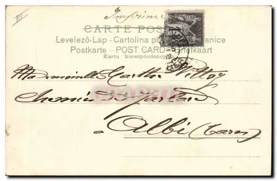 Galo e pintinhos — cena animal — editor desconhecido, série 212 — Verso