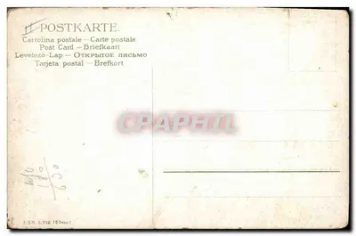 Kury i pełzak — scena rolnicza — T.S.n. S.712 — Rewers