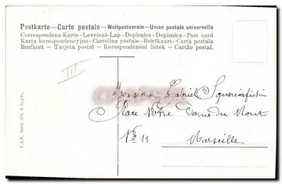 Galinhas e pavos em uma granja — T.S.N. Série 479, 6º Temas — editor T.S.N. — Verso